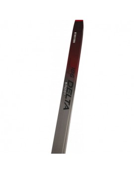 SKIS SKATE ROSSIGNOL DELTA SPORT + RACE SKATE | Troc Sport